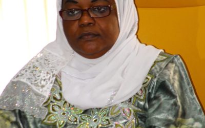 Coopération énergétique Niger–Tchad : le Niger présente le projet stratégique de Salkadamna